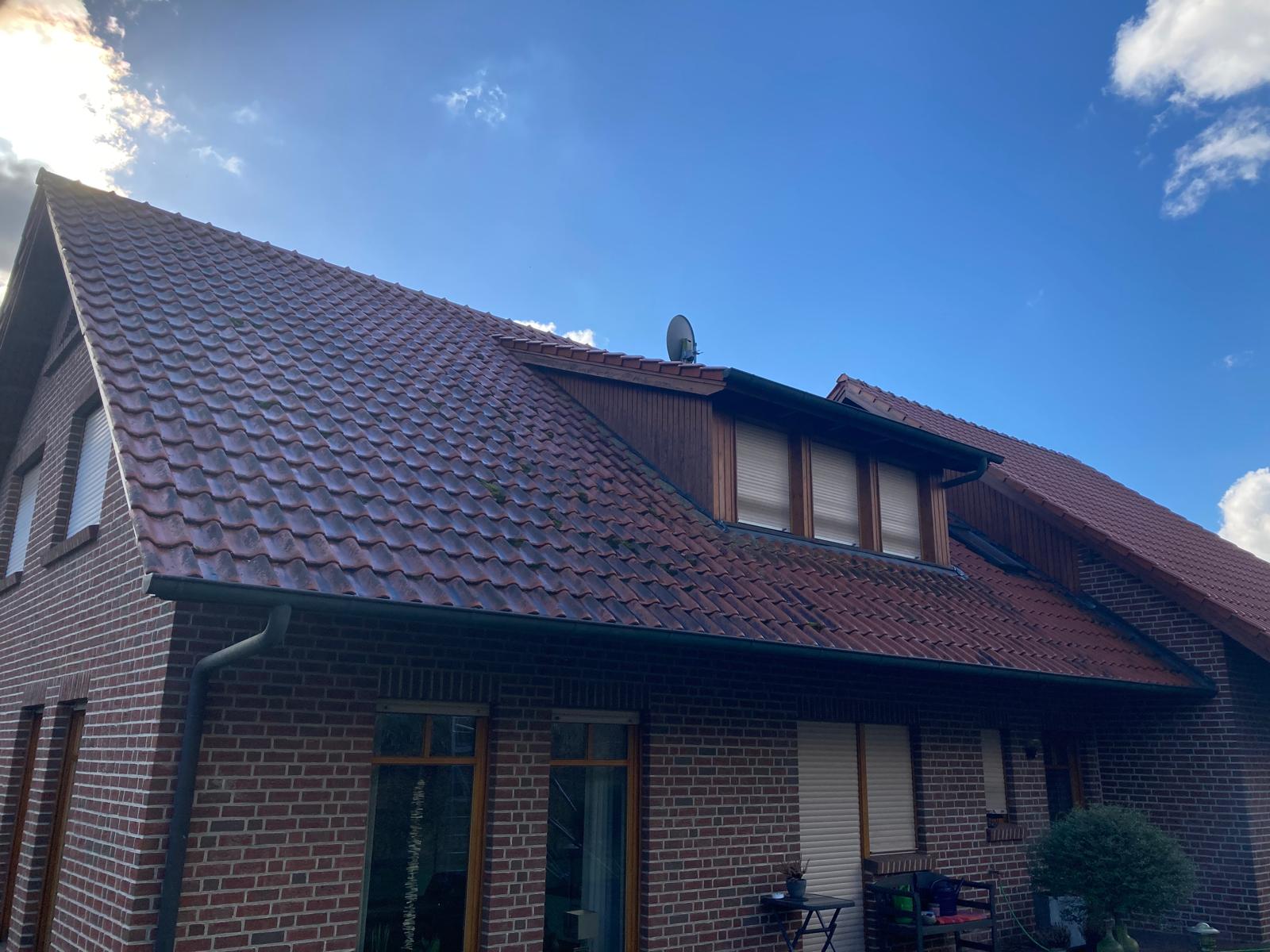 Dachreinigung Vorher Beispiel 1